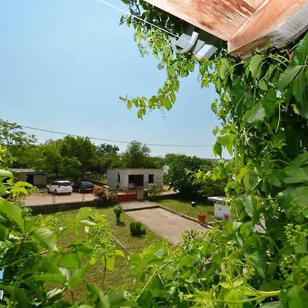 Maca Sikovo
