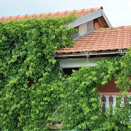 Apartment Maca Sikovo