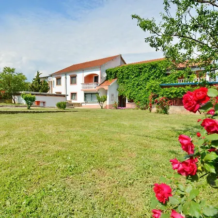 Maca Lejlighed Sikovo