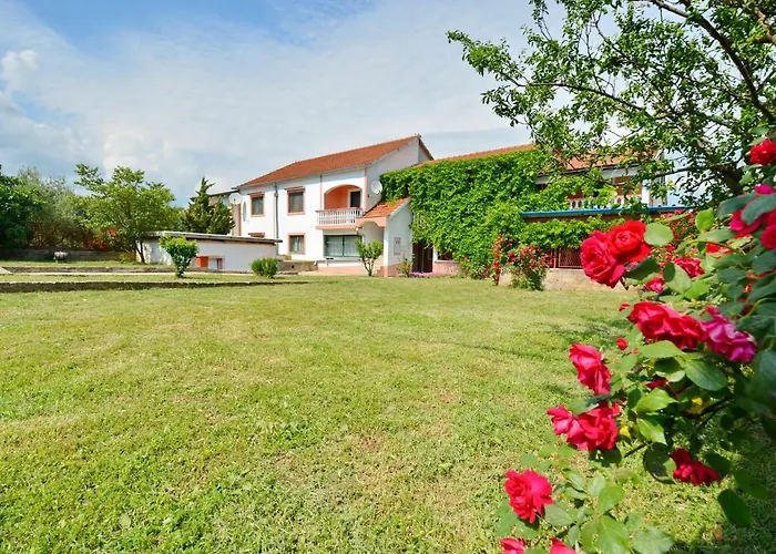 Maca Lejlighed Sikovo